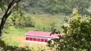 koperasi-merah-putih-plosorejo-dibangun-di-tengah-hutan.jpg