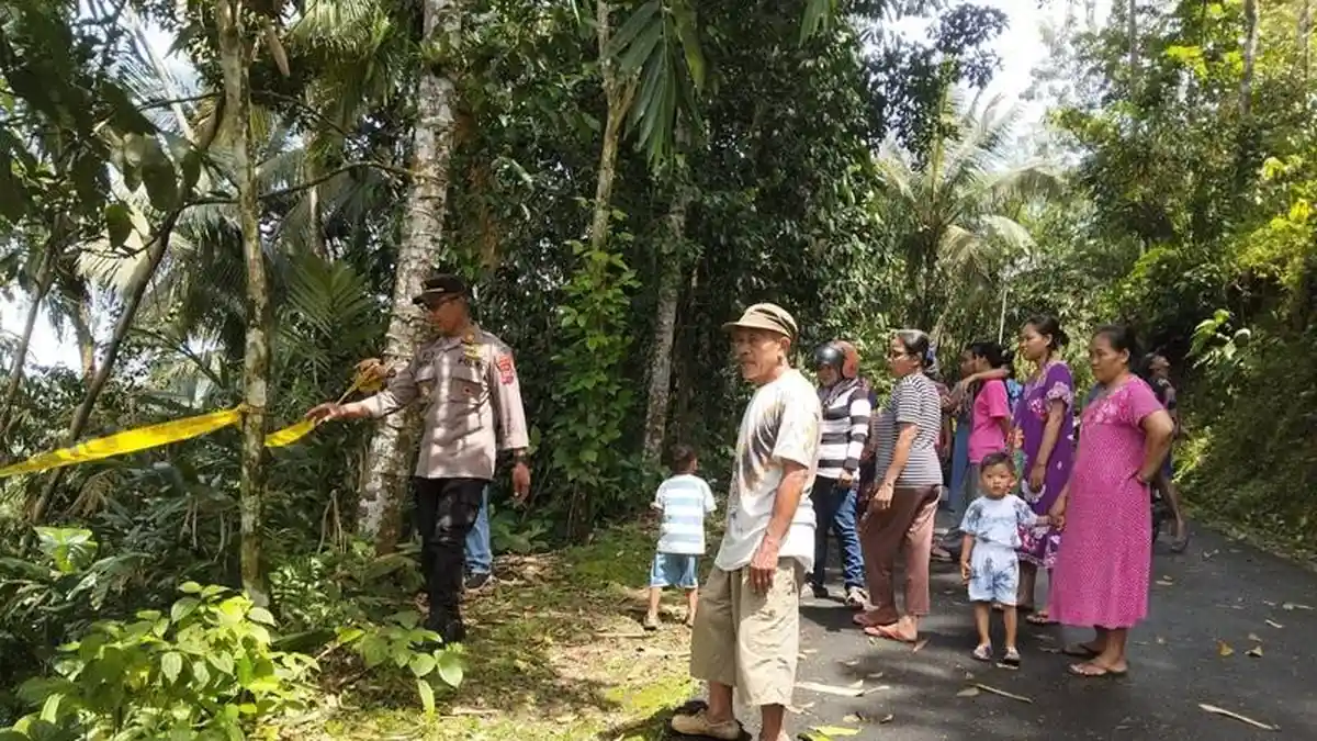 Tebing Jalan di Kedungbanteng Banyumas Ambrol, Tutup Sebagian Sawah Warga