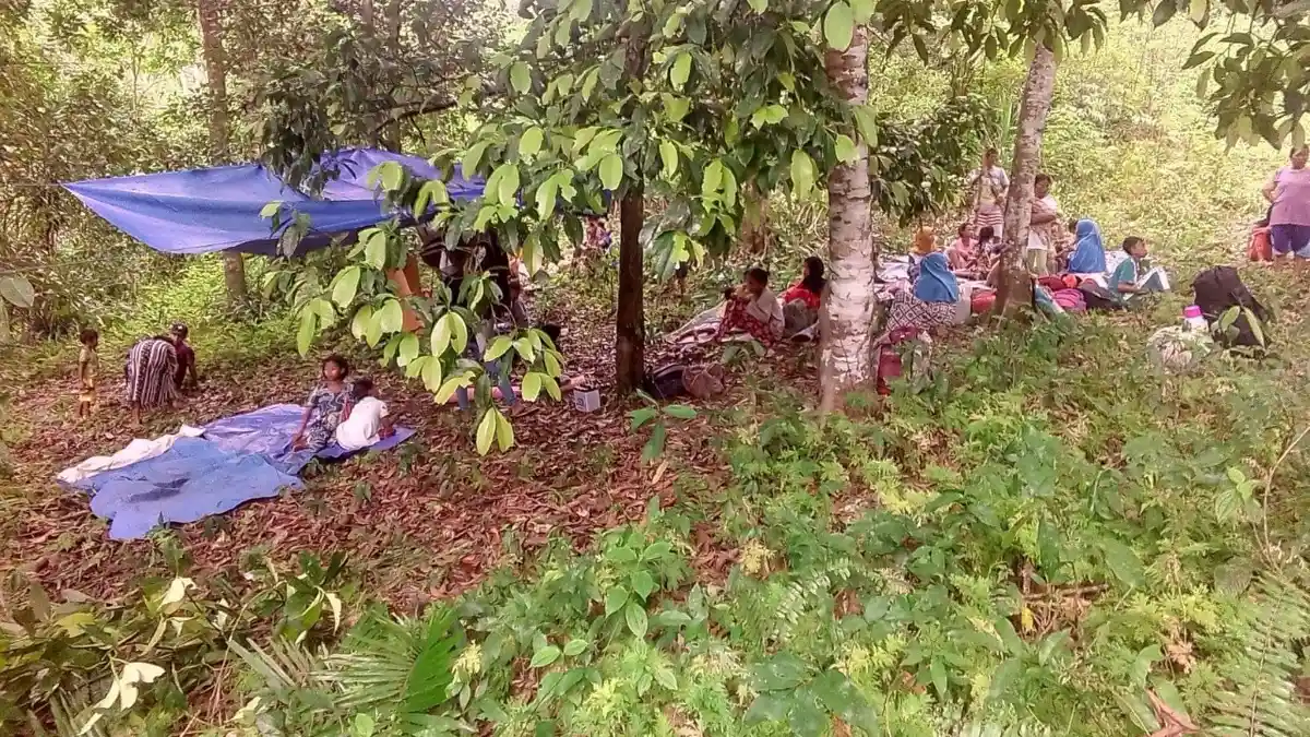 Takut Tsunami, Warga Tehoru dan Yaputih Mengungsi ke Hutan