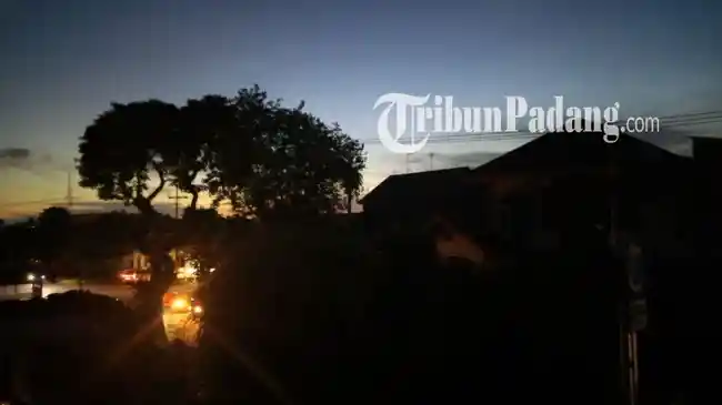 Tribun
