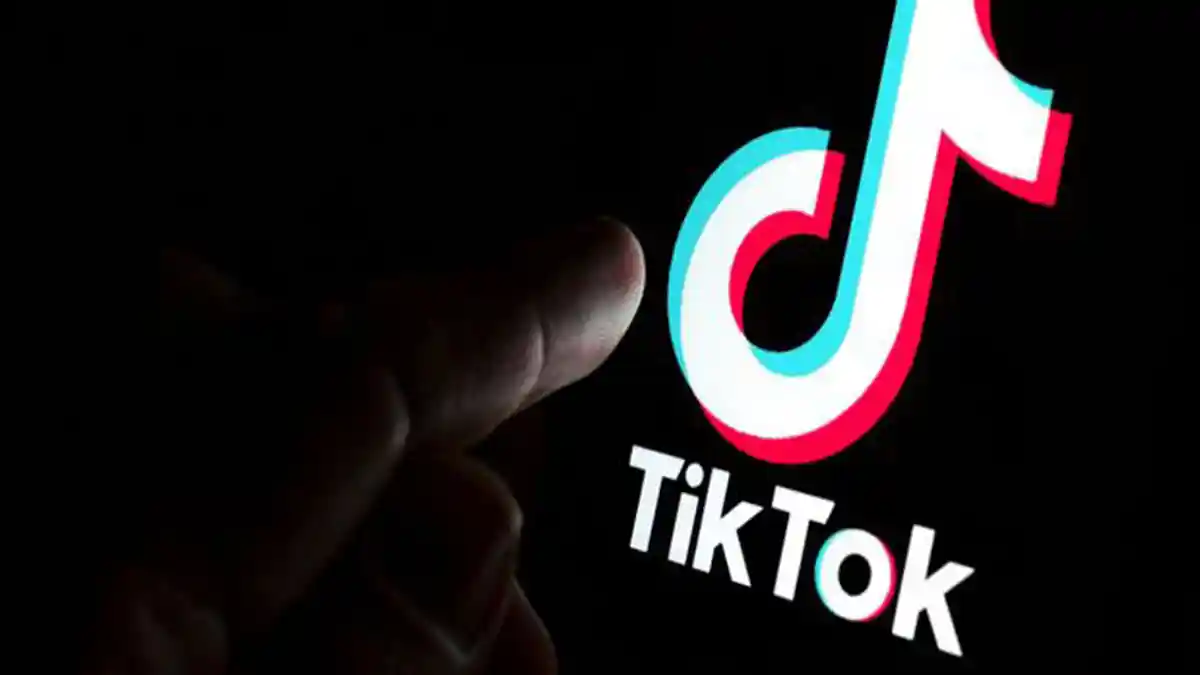 Cara Mudah Download Video Tiktok Tanpa Watermark Lewat SSSTiktok