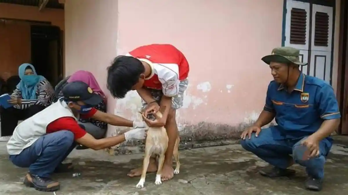 Cegah Rabies, Distanak Musi Rawas Targetkan Vaksin 2.000 Anjing, Kucing dan Kera