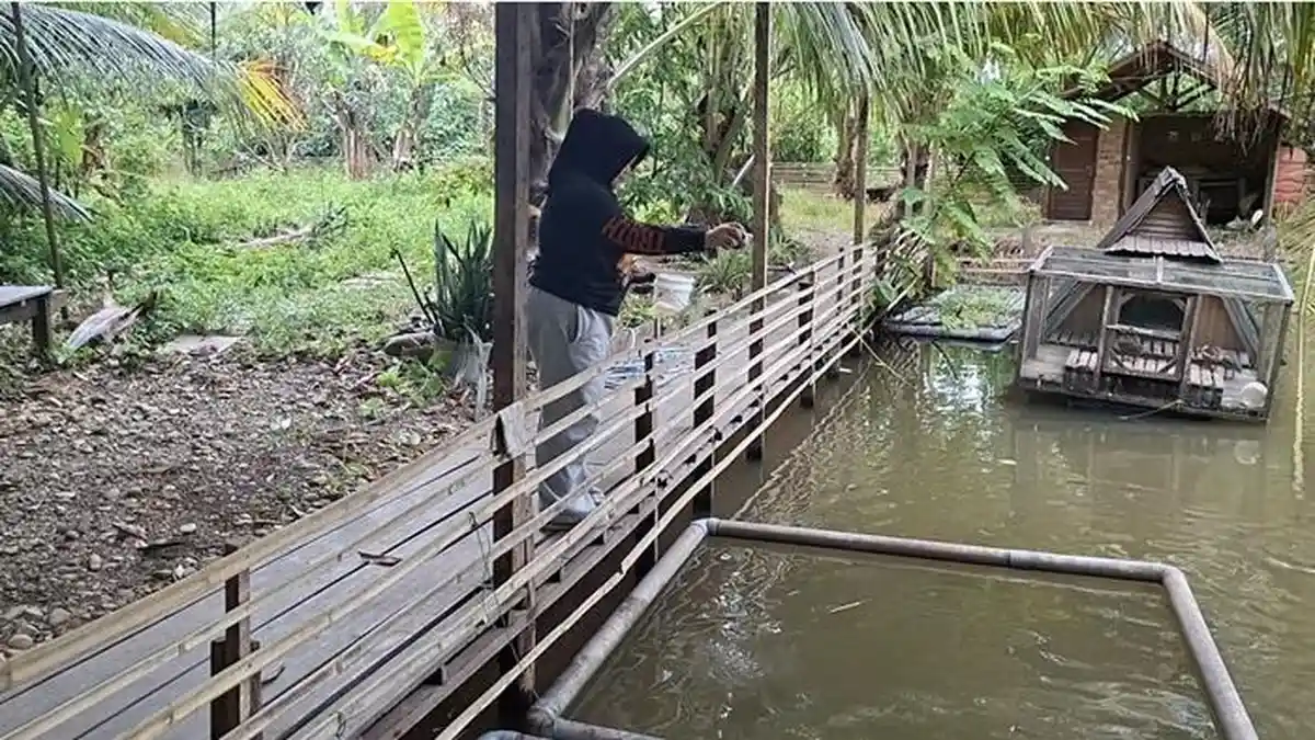 Wisata Kalsel: Usung Konsep Green Forest, Rumah Talipuk di HSU ...