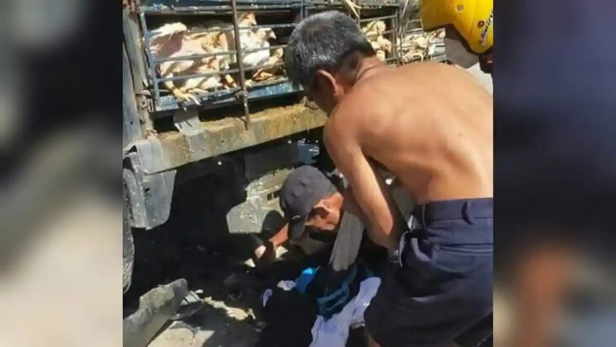 Kecelakaan Maut di Konawe Selatan, Wanita Berseragam SMP Tewas Terlindas Pikap