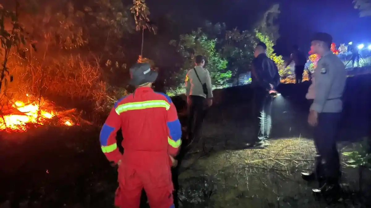 Dua Karhutla di Lingga Terjadi dalam Sehari, Luas Lahan Terbakar Capai 3 Hektare