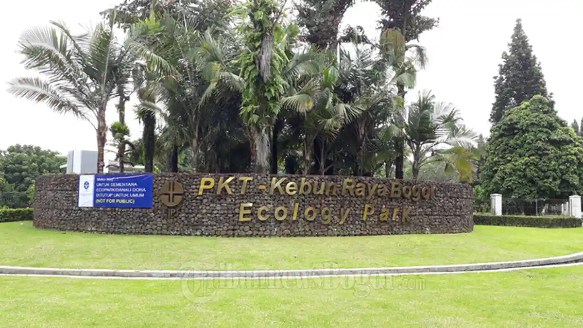 Ini Alasan LIPI Tutup Danau Dora Cibinong Untuk Umum