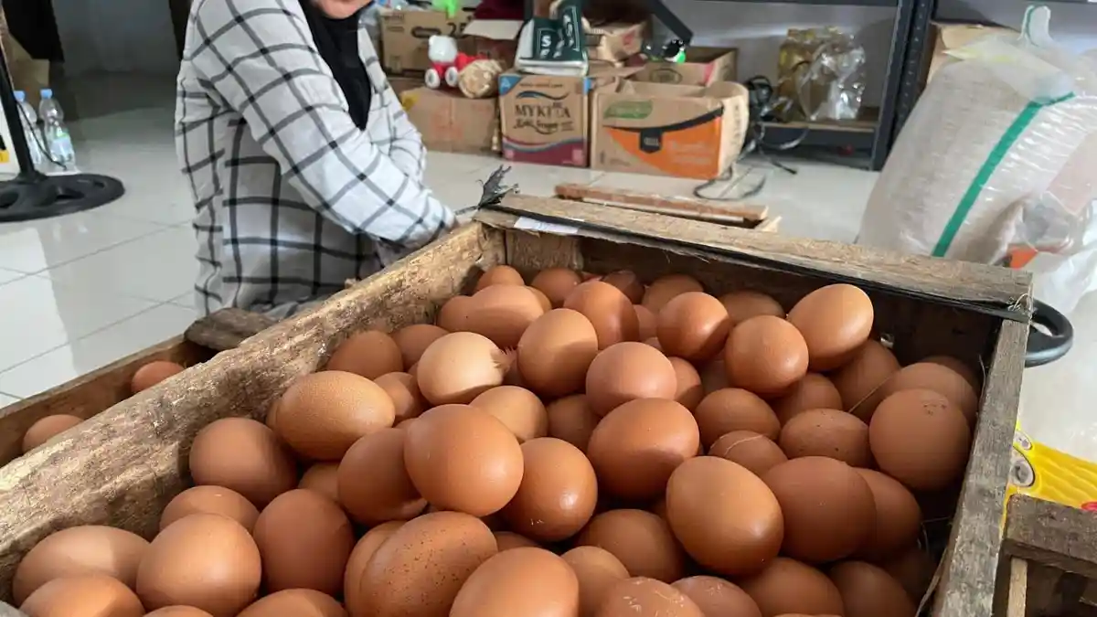 Harga Telur Ayam di Pangandaran Sudah Naik Jelang Ramadan