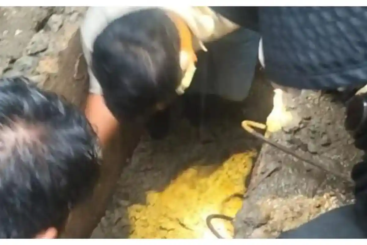 Terungkap Motif Pelaku Pembunuh Istri Pegawai Pajak di Manokwari, Imbas Utang Judol