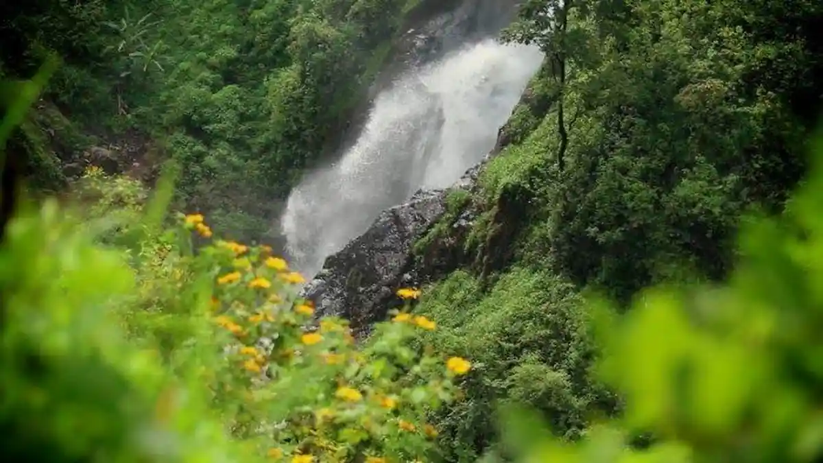 Cuma 46 Menit dari Alun-alun Ponorogo, Ada Air Terjun Seindah Ini, Cocok Jadi Spot Melepas Penat