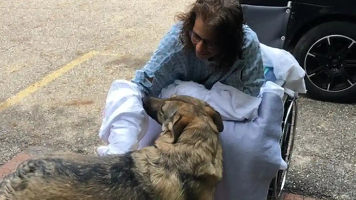 Padahal Cuma Dijilat Anjing, Kaki & Tangan Wanita Ini Harus Diamputasi, Terungkap Penyebab Fatalnya
