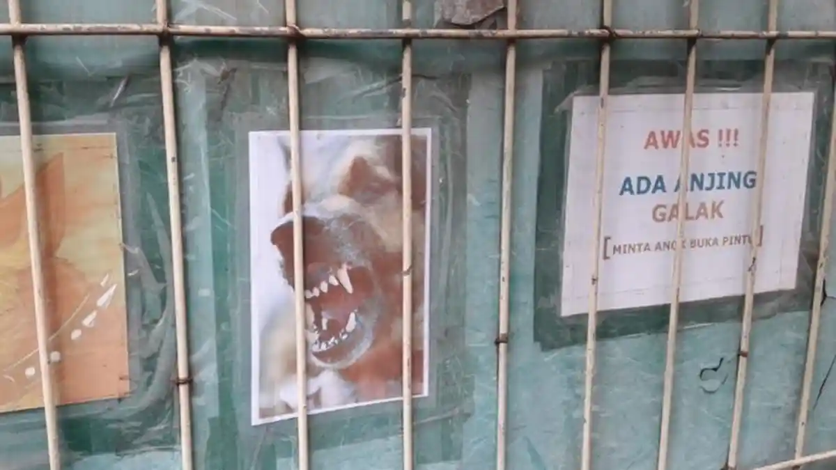 ART di Cipayung Tewas Diserang Anjing Milik Majikan, Dikabarkan Sudah 3 Kali Lukai Warga