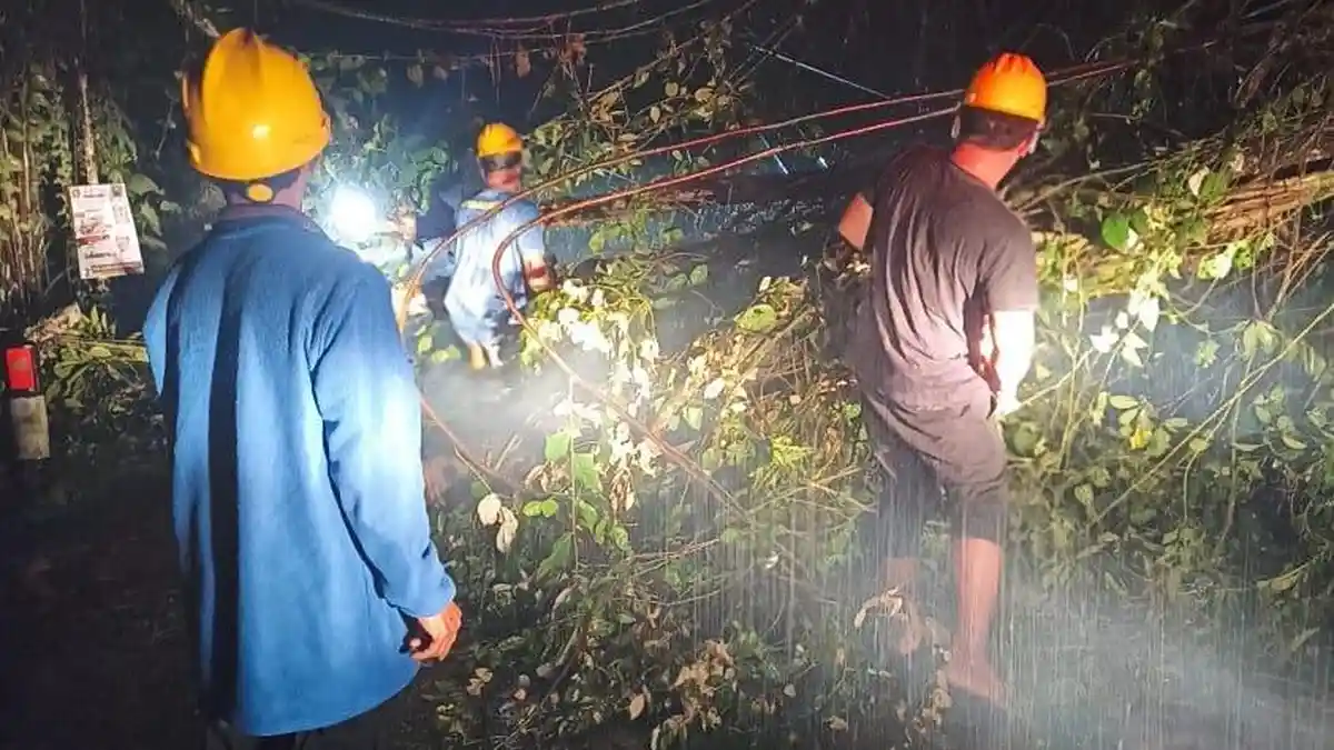 Dua Pohon Tumbang Tutup Akses Masyarakat di Desa Manuk Bangli