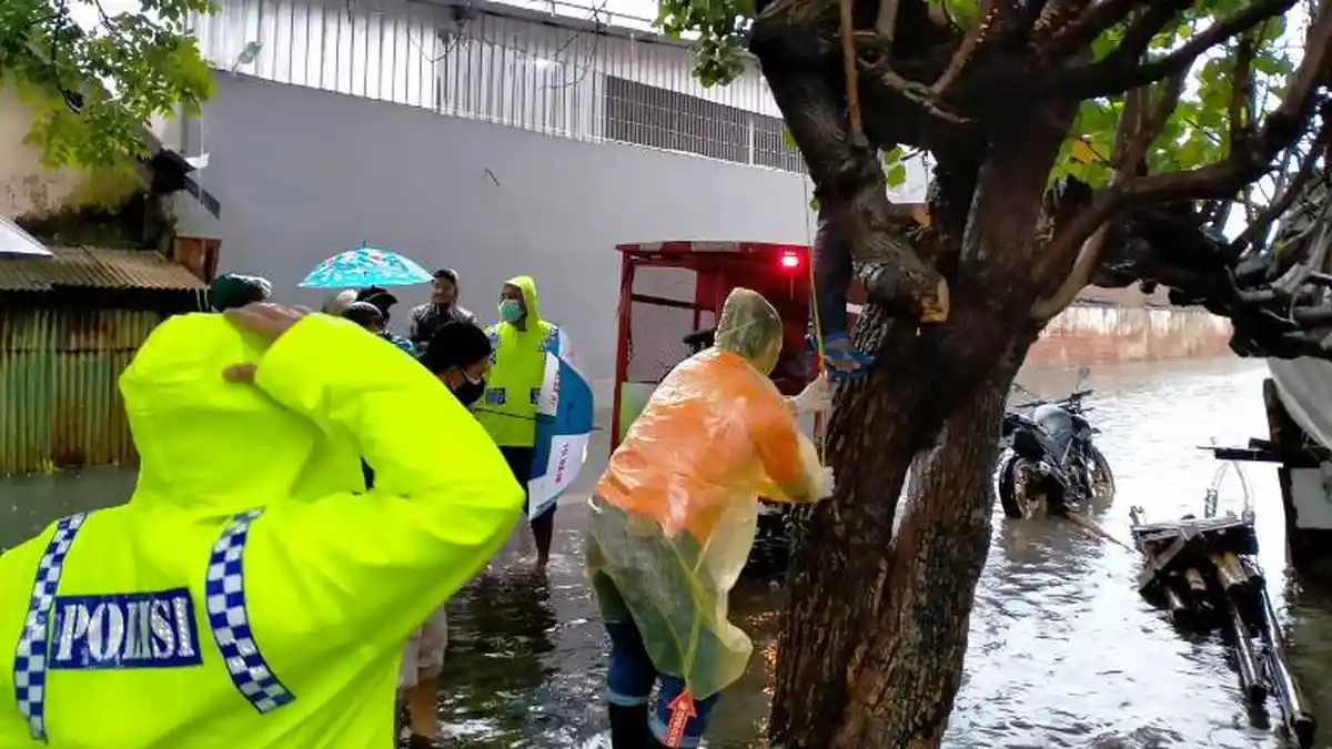 Diduga Stres Diusir Keluarga, Warga Semarang Gantung Diri di Pohon Waru Saat Banjir