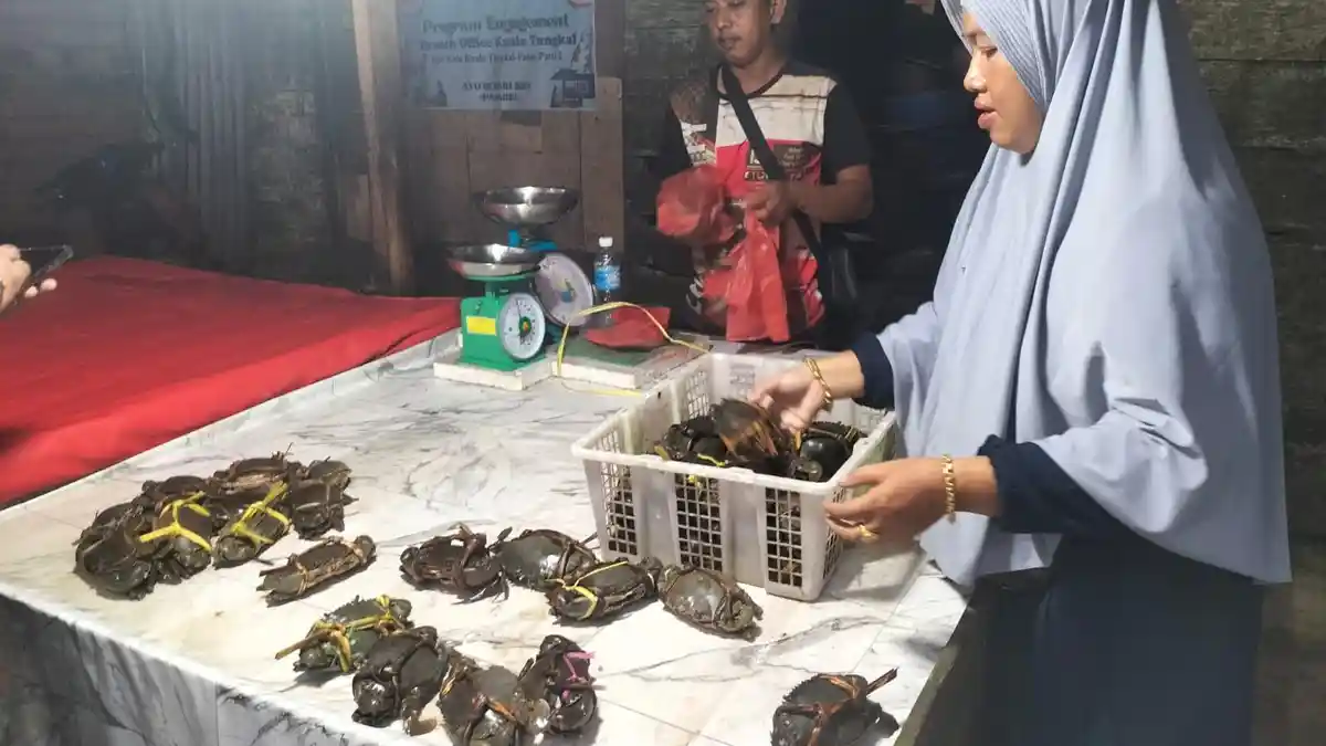 Harga Kepiting Capai Rp90 Ribu di Pasar Parit 1 Kuala Tungkal