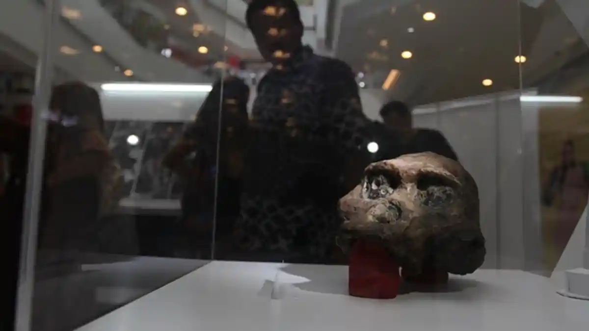 MENGEJUTKAN, Terungkap Bukti Baru Manusia Neanderthal Ternyata Lebih Cerdas dari Perkiraan