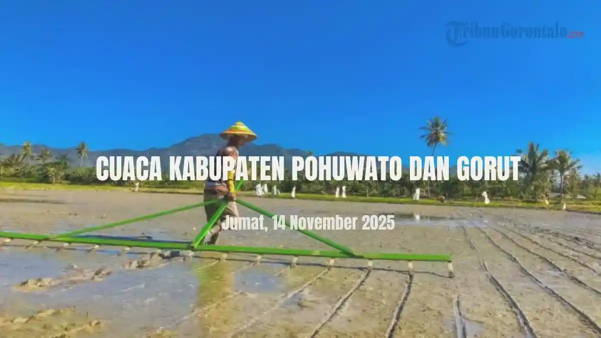 Info Cuaca Kabupaten Pohuwato dan Gorontalo Utara Hari Ini Jumat 14 November 2025