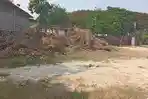 Tebu yang Ditumpahkan di Depan Pabrik Gula GMM Todanan Blora saat Aksi Diduga Dipindahkan Sepihak