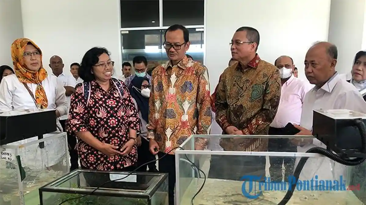 Launching Program Matching Fund, Untan Pontianak Kembangkan Cara Tingkatkan Hasil Produksi Padi