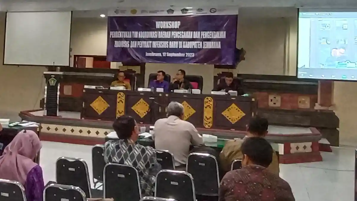 Jembrana Bahas Ancaman Antraks, Buntut 3 Orang Meninggal Dampak Antraks Pada Sapi di Yogyakarta