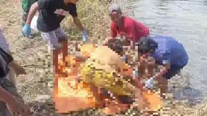 Warga-Kabupaten-Pinrang-digegerkan-dengan-penemuan-mayat-terapung-di-area-persawahan.jpg