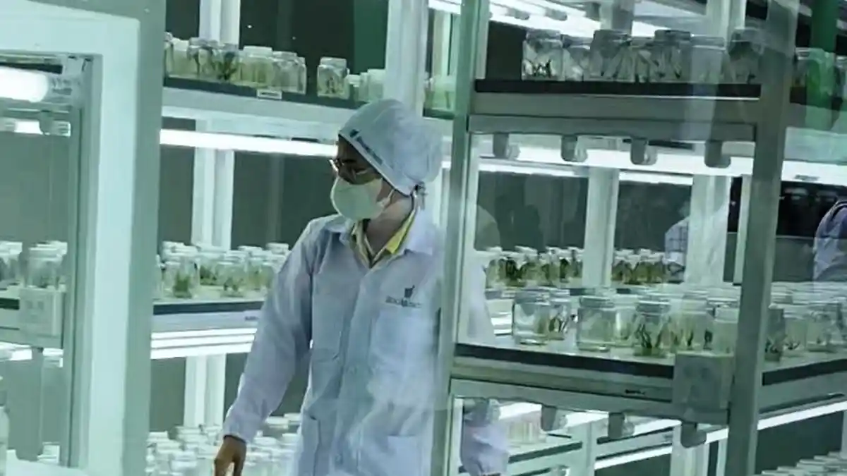 Sido Muncul Terjun ke Bisnis Rempah, Bangun Laboratorium Penelitian Tanaman Dongkrak Daya Saing