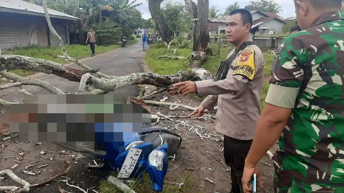 Tertimpa Pohon Tumbang, Seorang Warga Delta Pawan Ketapang Meninggal Dunia