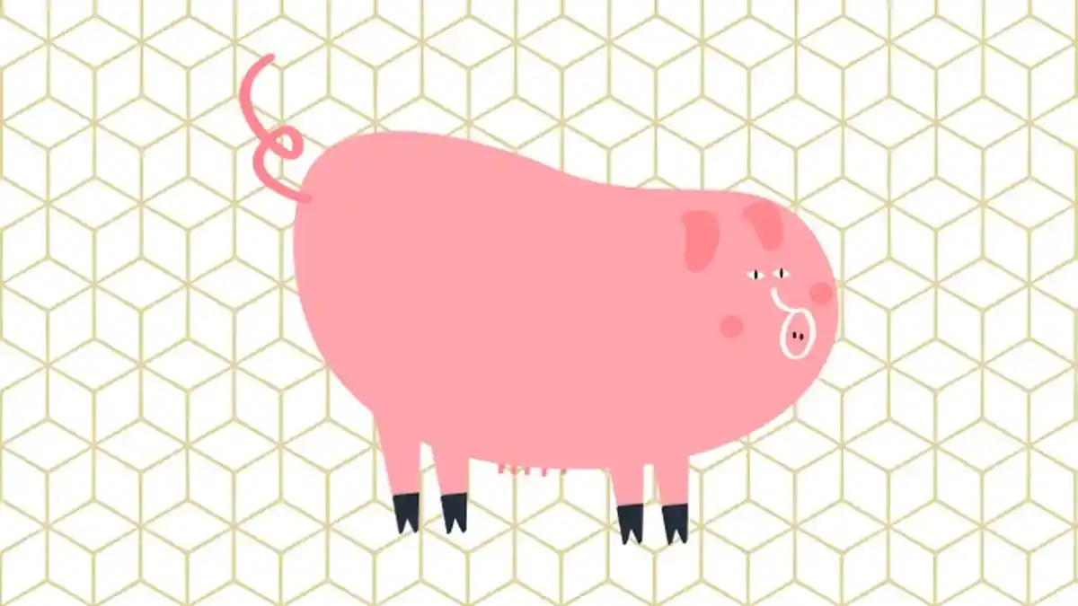 Inilah 6 SHIO Beruntung di Akhir Pekan Sabtu 29 Januari 2022, PEKALAH Hoki di Sekitar Anda!