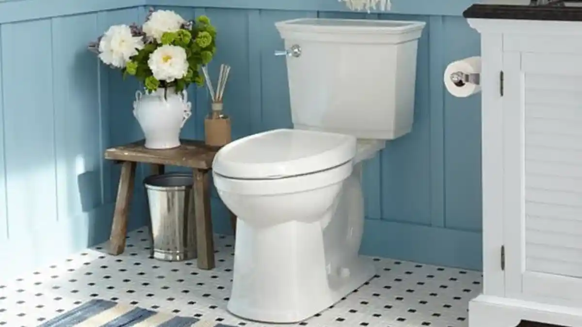 Demi Kesehatan, Jangan Siram Toilet Tanpa Menutupnya