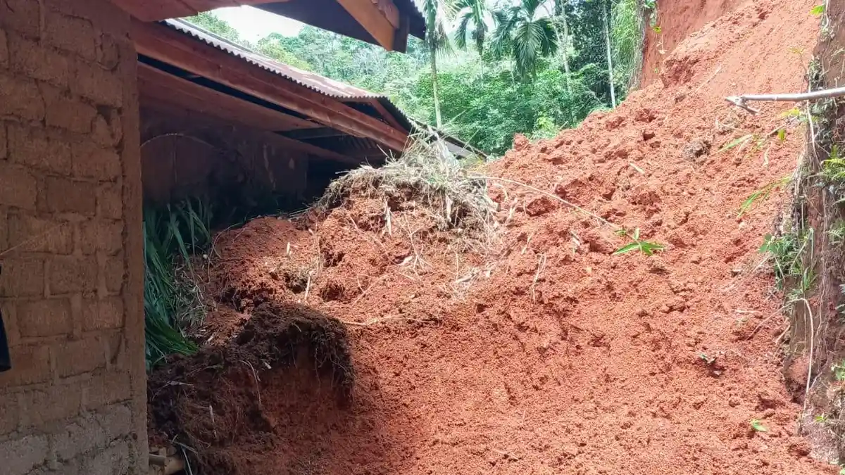 Belasan Rumah dan 1 Unit Sekolah Rusak Akibat Longsor di Lubuak Jantan Tanah Datar