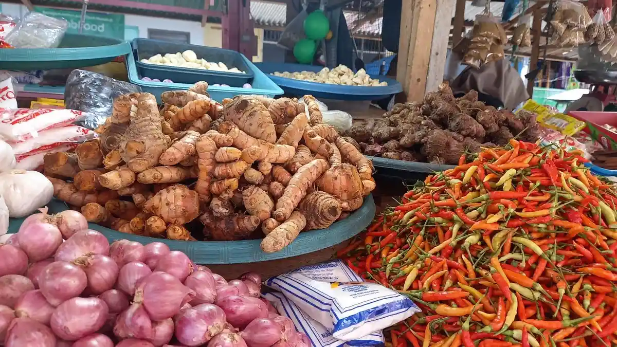 Kunyit dan Jahe Menjadi Rempah yang Diburu Masyarakat Gorontalo, Ternyata Ini Manfaatnya