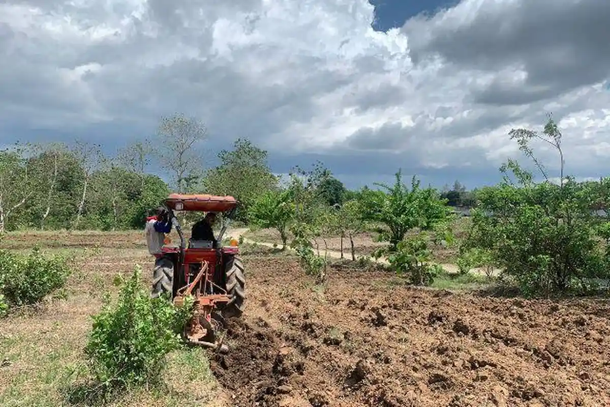 Lapas Atambua Siapkan Lahan 5 Hektar untuk Pertanian, Dukung Asta Cita Presiden