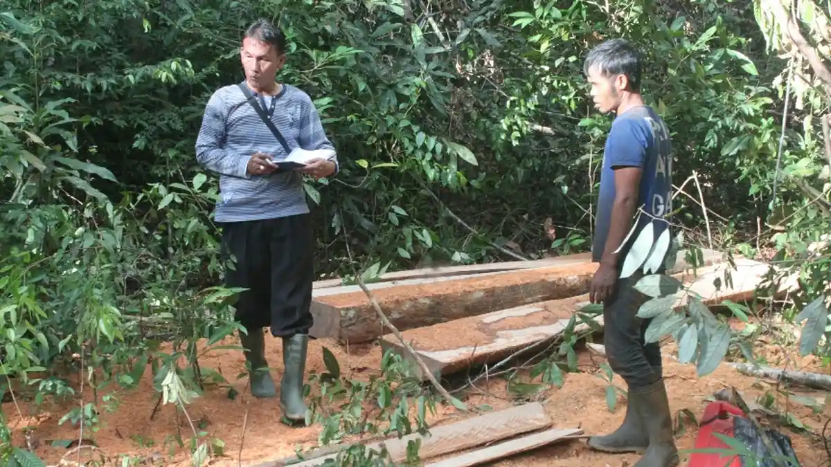 Polres Belitung Timur Sita Tiga Kubik Kayu Ilegal