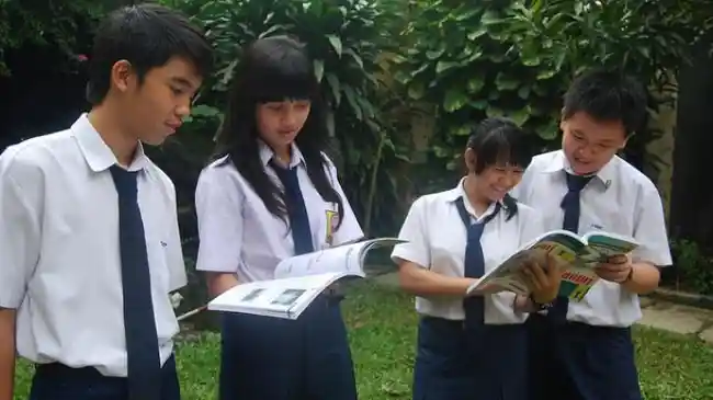 Tribun