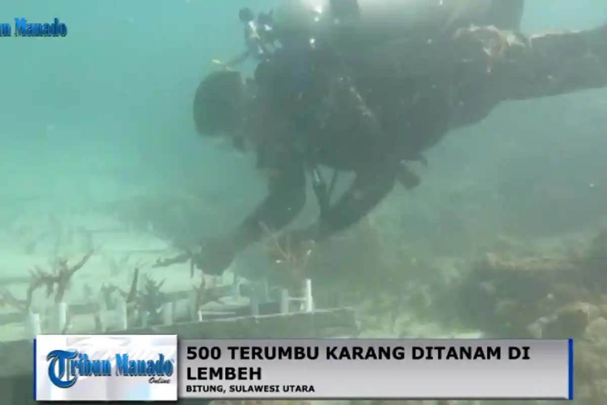 Indeks Kesehatan Laut dalam Perspektif Kedokteran Komunitas