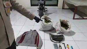 2-Pria-Dampit-Ditangkap-Warga-Curi-53-Kg-Jeruk-Milik-Warga-Turen-Malang-Satu-Pelaku-Residivis.jpg