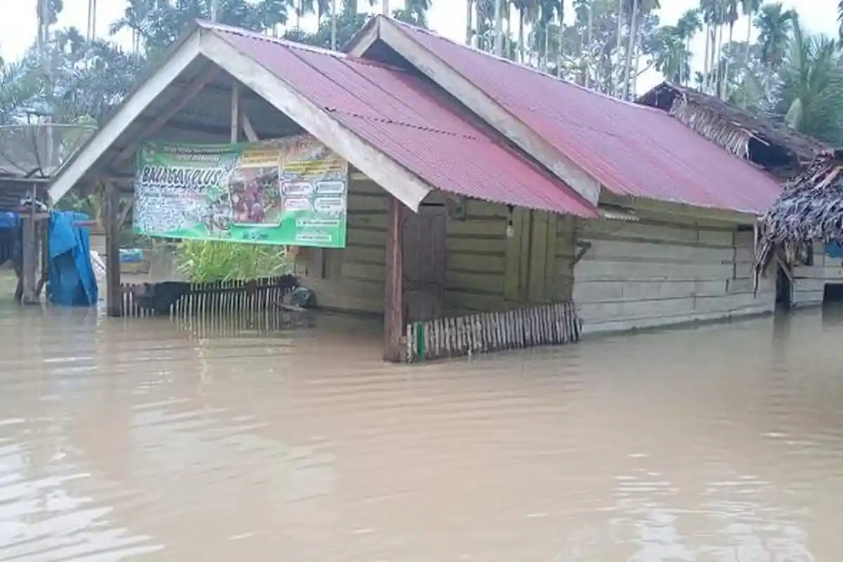 Krueng Jambo Aye Meluap dan Rendam 3 Gampong di Pantee Bidari, Jalan Tergenang & 295 KK Terdampak