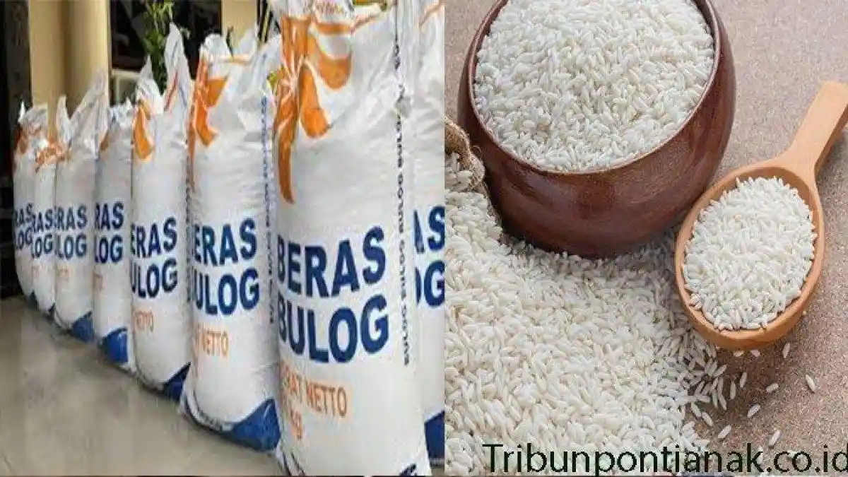 Pemerintah akan Bagikan Bansos Beras Juni-Juli 2025, Diprioritaskan untuk Wilayah Ini