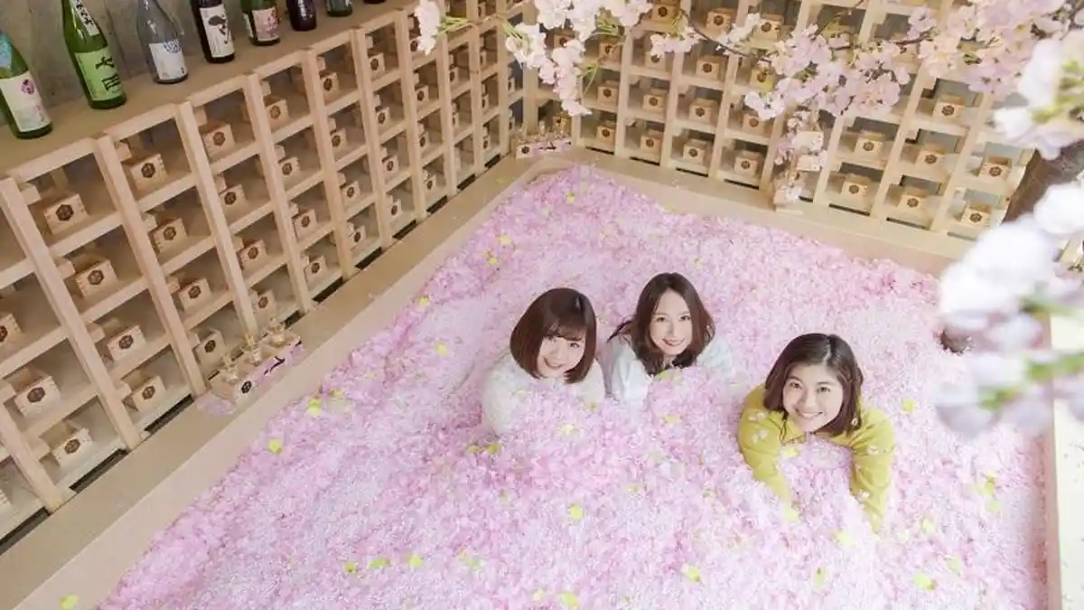 Hanya Buka Saat Bunga Sakura Mekar, Intip Keunikan Sakura Chill Bar di Jepang