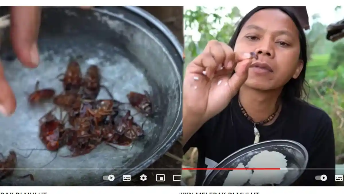 YouTuber Dede Ineon Mukbang Kecoa Pakai Nasi, Apakah Kecoa Aman Dikonsumsi?