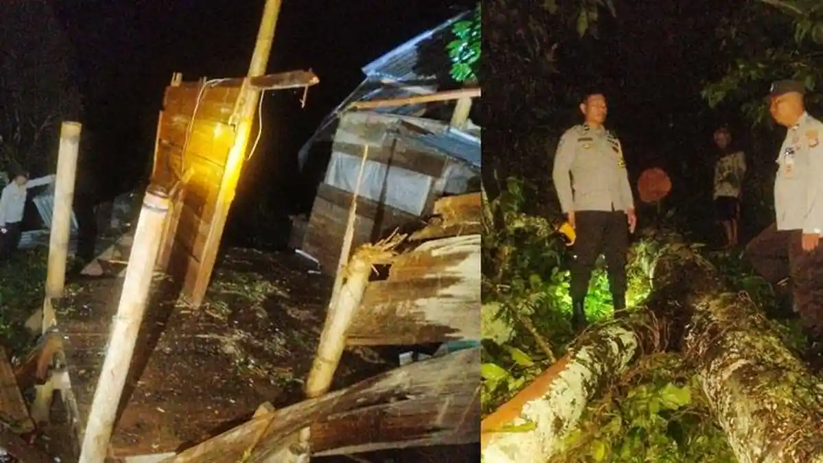 Pohon Durian Timpa Rumah di Mengkendek Tana Toraja