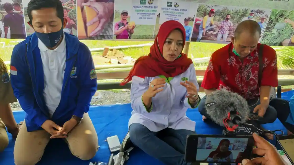 Kabupaten Tegal Miliki Potensi Pertanian di 3 Area Ini