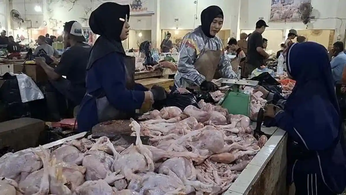 Harga Daging Ayam di Sungailiat Bangka Hari Ini, Naik Rp1.000 hingga Rp2.000