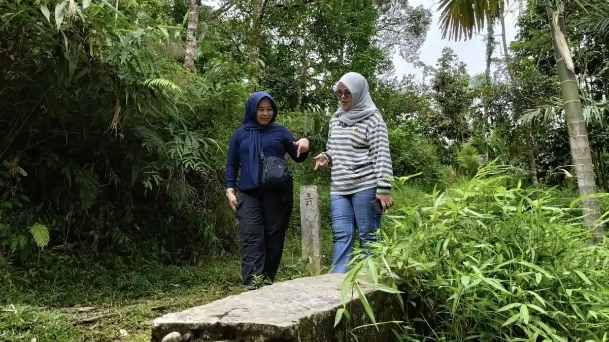 DLHK Bengkulu Selatan Waspadai Ancaman Sawit di Kawasan Tahura ...