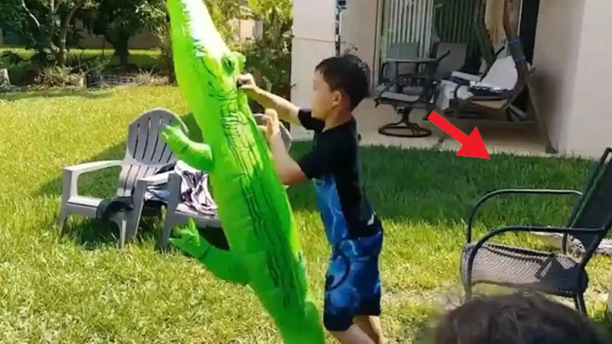 Sekilas Video Anak Main Balon Buaya Ini Terlihat Biasa, tapi Saat Diteliti Ada Hal Ngeri di Dekatnya