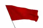 Red-Flag.jpg