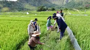 Pihak-Dinas-Ketapang-dan-Pertanian-Kabupaten-Samosir-melakukan.jpg