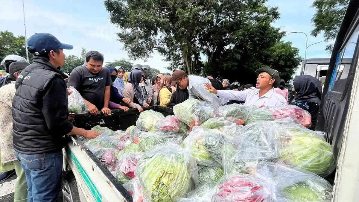 Aksi Terpuji Petani dan Pemkab Wonosobo Sedekahkan Paket Sayuran Gratis Saat Harga Merosot