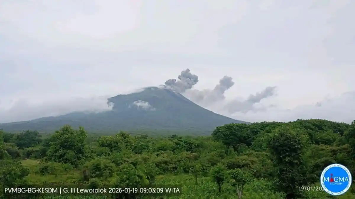 Dampak Erupsi Gunung Lewotolok, Air Bersih untuk 7 Desa di Lembata Tercemar