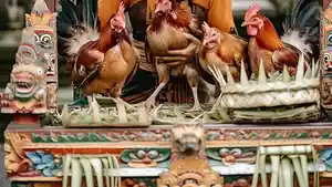Harga-Ayam-Caru-Di-Gianyar-Bali-Masih-Stabil-Agung-Tidak-Sebanyak-Kebutuhan-Kelapa.jpg