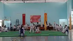 Kejuaraan-unit-ranting-Kelatnas-Perisai-Diri.jpg